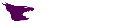 llynx electronic