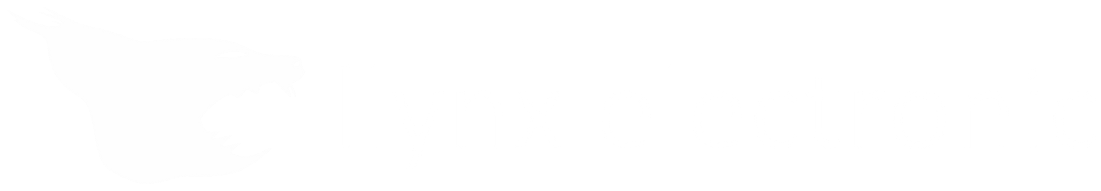 llynx logo white